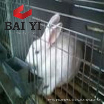 Factory Design Rabbit Mesh Cages For Kenya